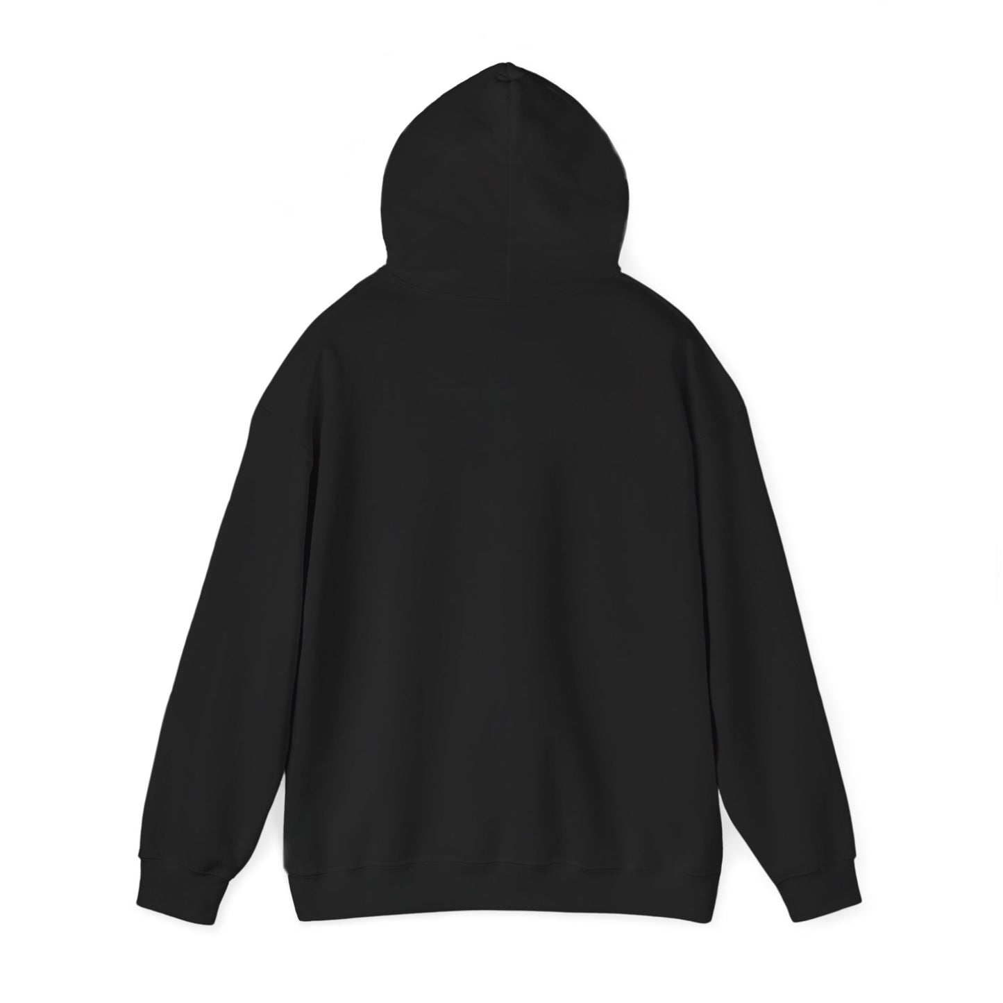 Mundane Mystery 'Exposé' Hoodie | funny conspiracy, stamped fact