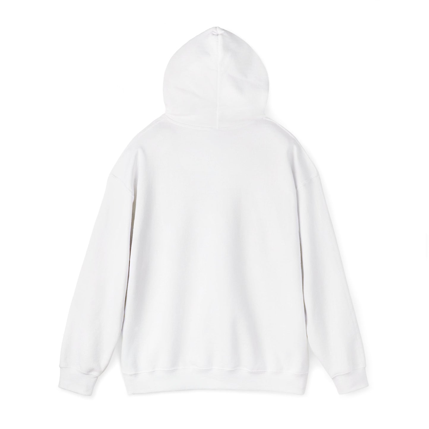 Mundane Mystery 'Exposé' Hoodie | funny conspiracy, stamped fact