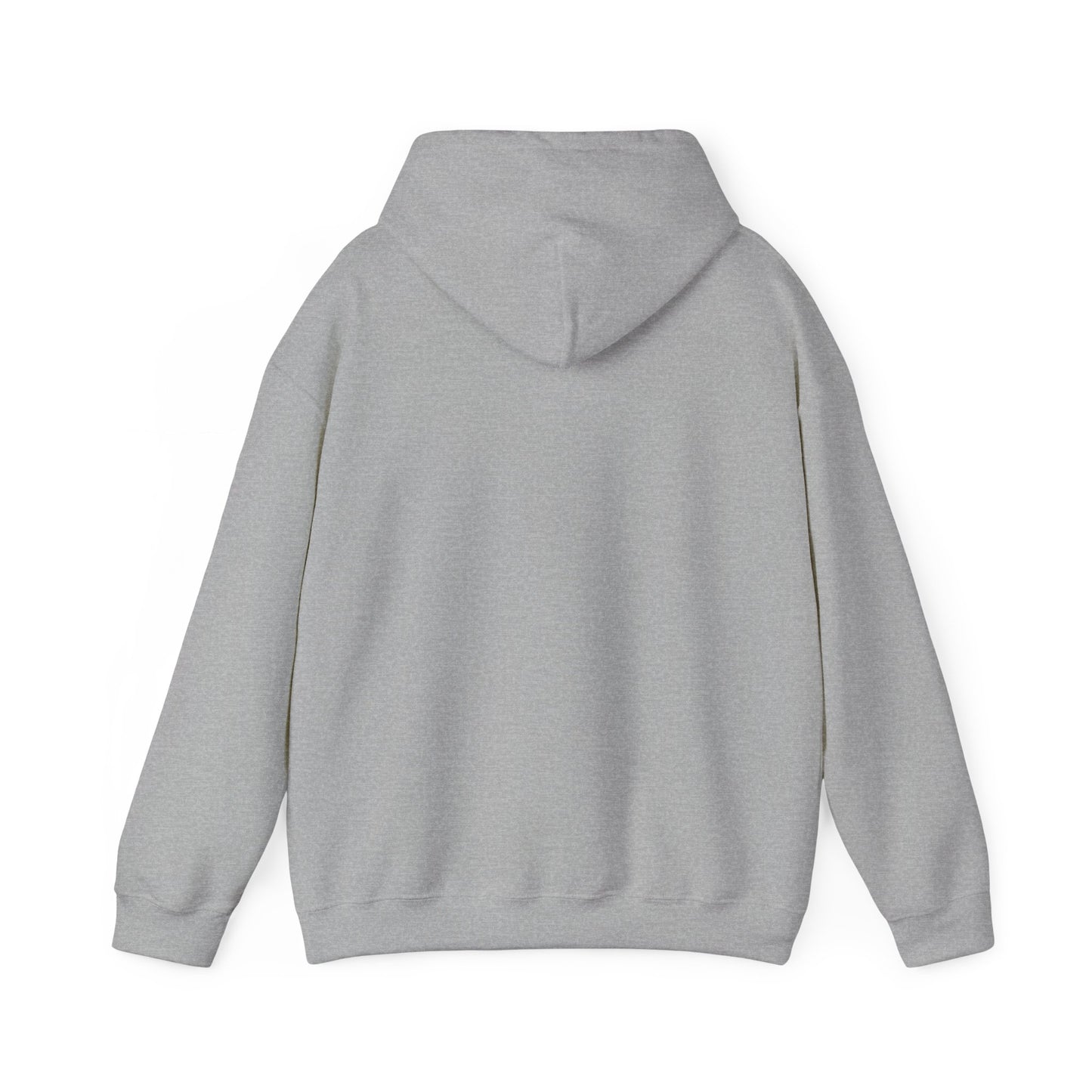 Mundane Mystery 'Exposé' Hoodie | funny conspiracy, stamped fact