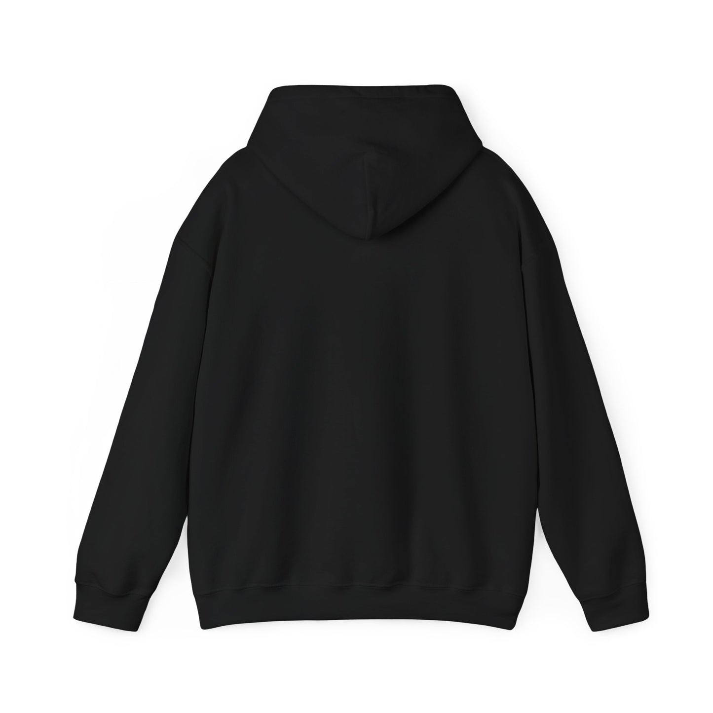 Mundane Mystery 'Exposé' Hoodie | funny conspiracy, stamped fact