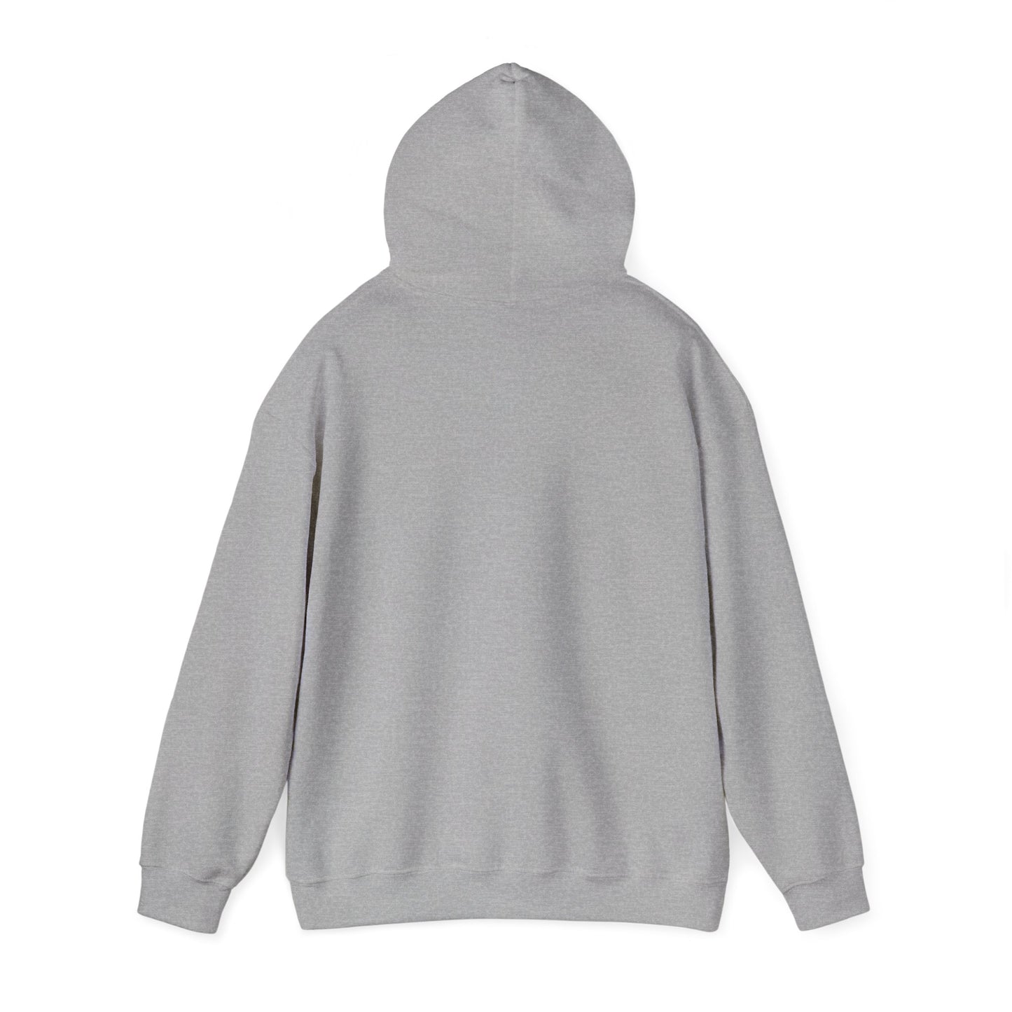Mundane Mystery 'Exposé' Hoodie | funny conspiracy, stamped fact