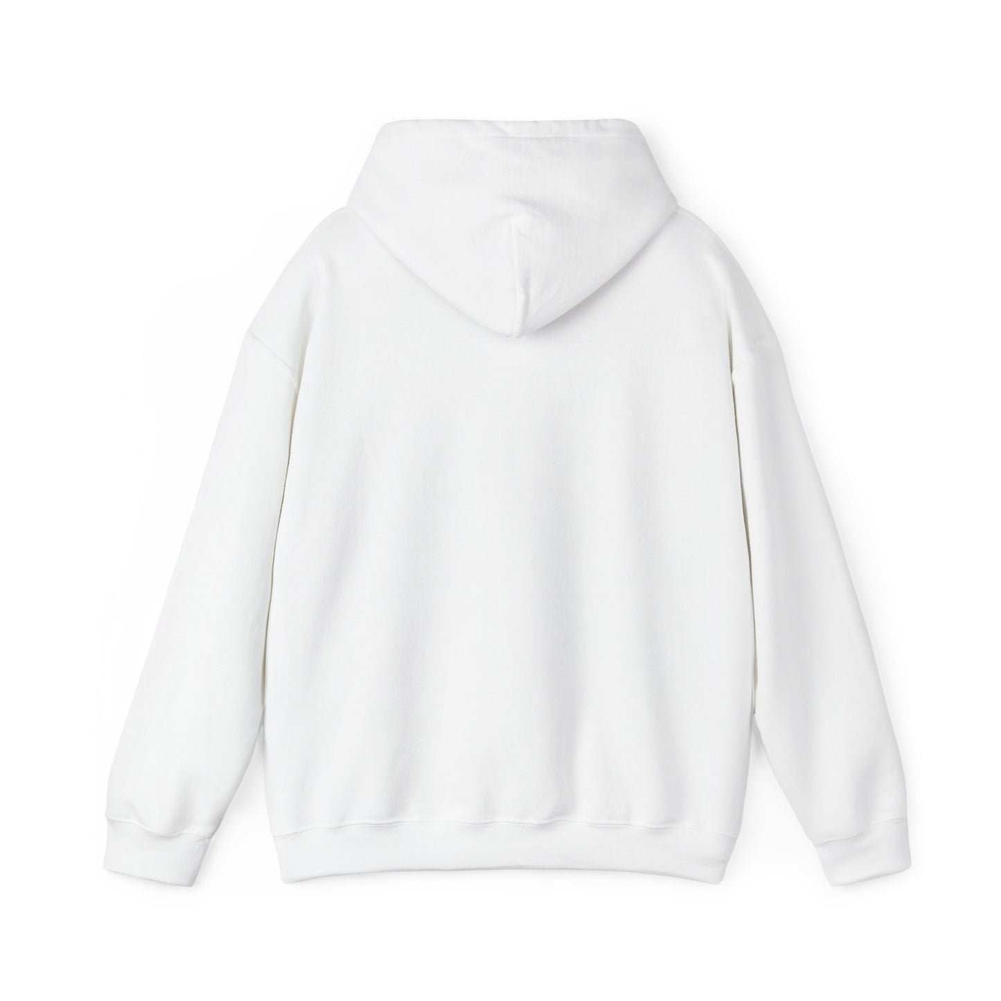 Mundane Mystery 'Exposé' Hoodie | funny conspiracy, stamped fact