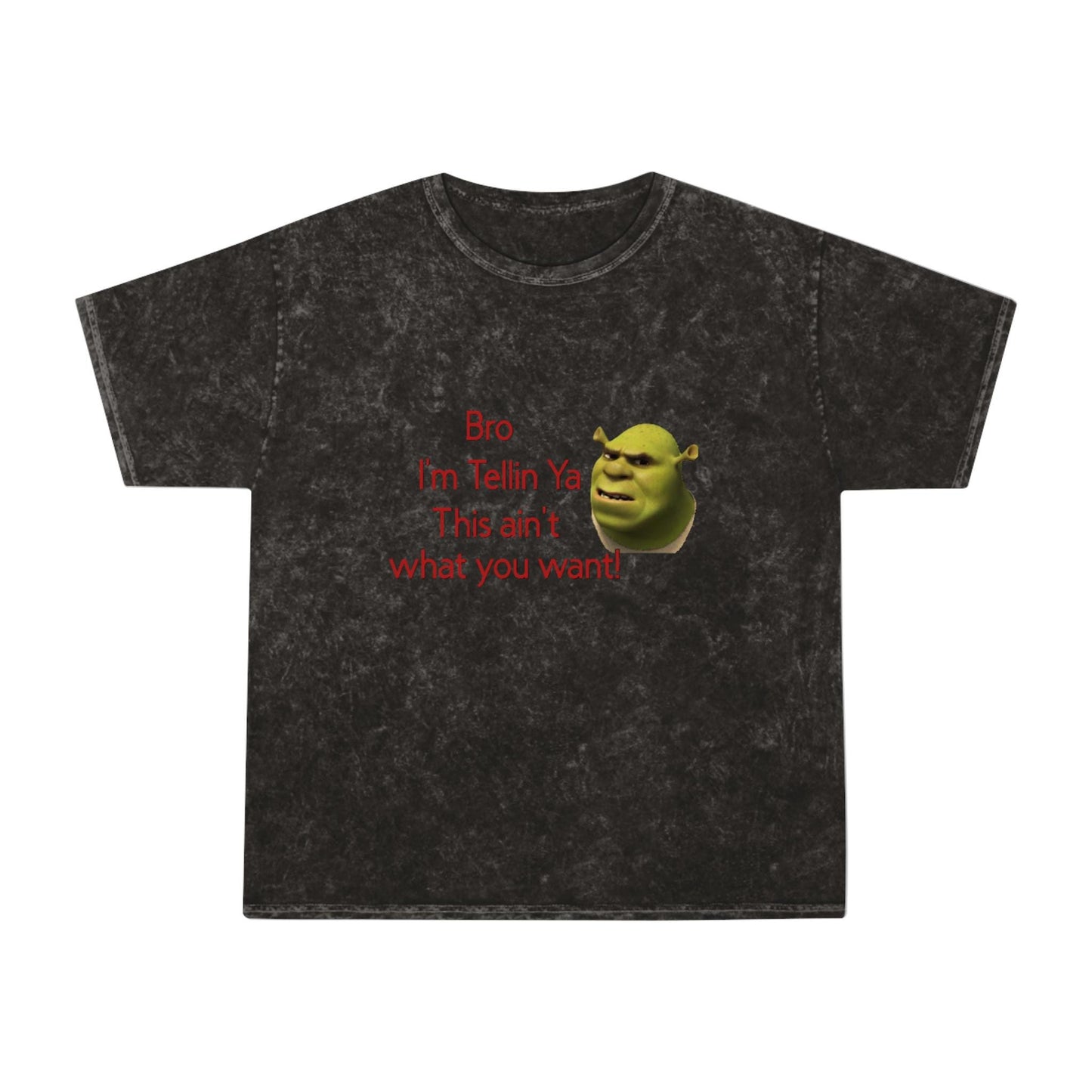 Mineral Wash T-Shirt - 'Bro, I'm Tellin Ya, This Ain't What You Want' - Unisex Tee, Graphic Tee, Statement Shirt, Funny T-Shirt, Vintage