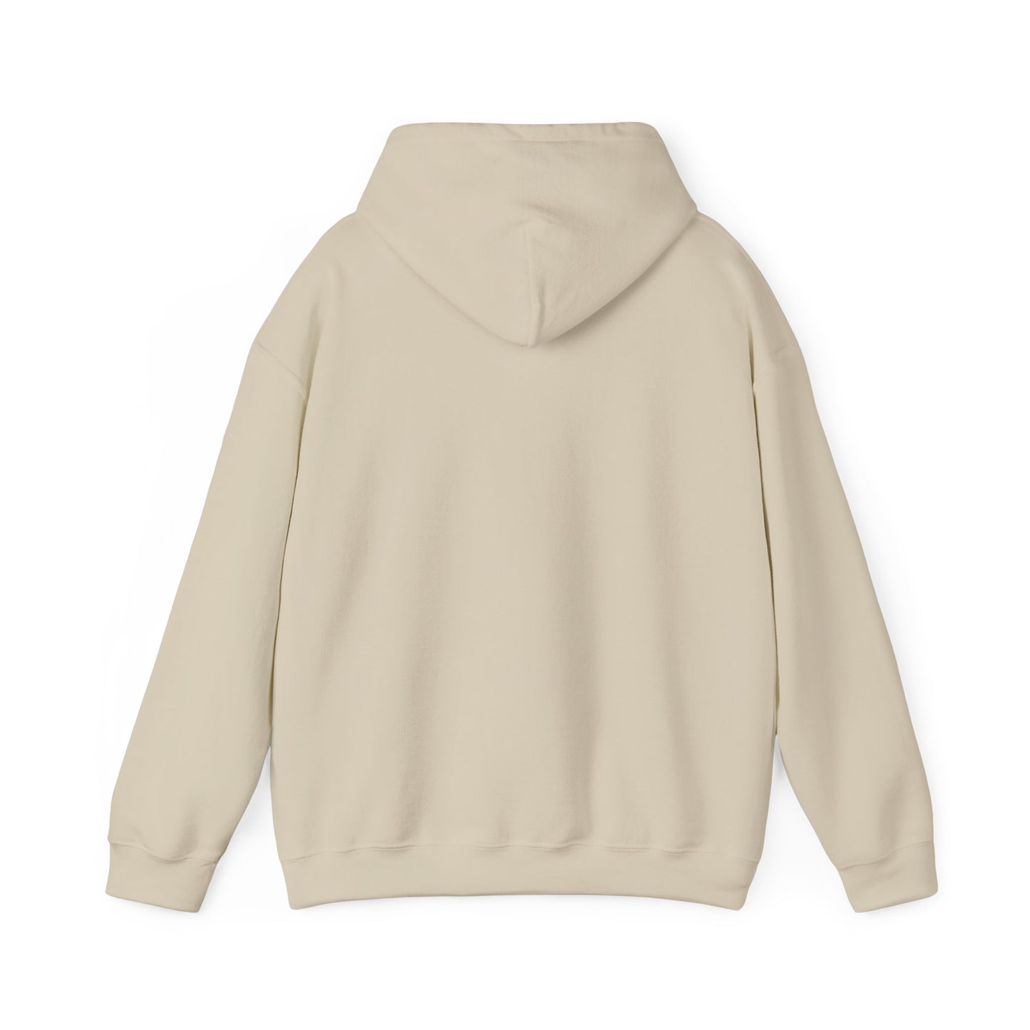 Mundane Mystery 'Exposé' Hoodie | funny conspiracy, stamped fact