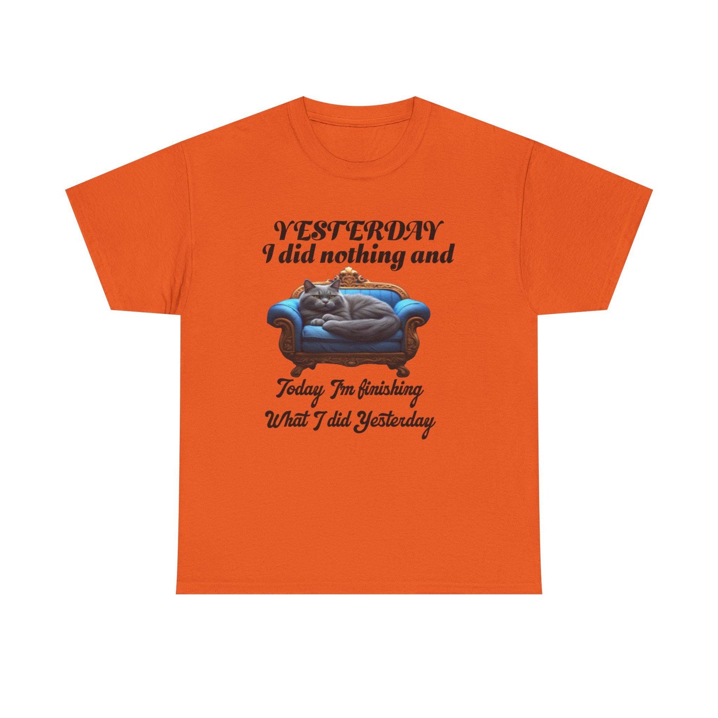 Funny Cat Quote T-Shirt - Yesterday I Did Nothing, Unisex Graphic Tee, Cat Lover Gift Shirt, Lazy Day Top, Funny Animal Print Apparel, Gift